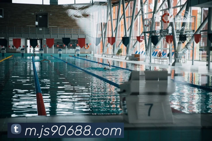 澳门金沙国际平台生态图