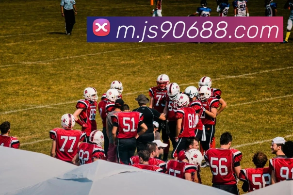 数据防护可视化